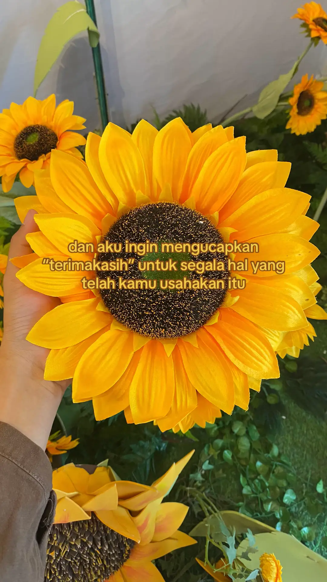 @mtcha