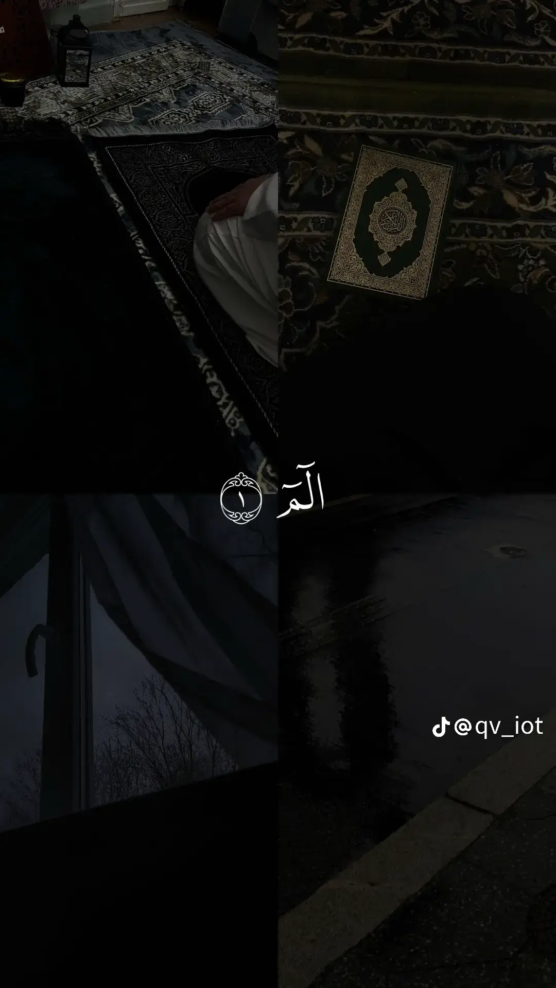 @𝔻𝕒𝕟𝕚𝕤𝕙.𝕓𝕦𝕜𝕙𝕒𝕣𝕚