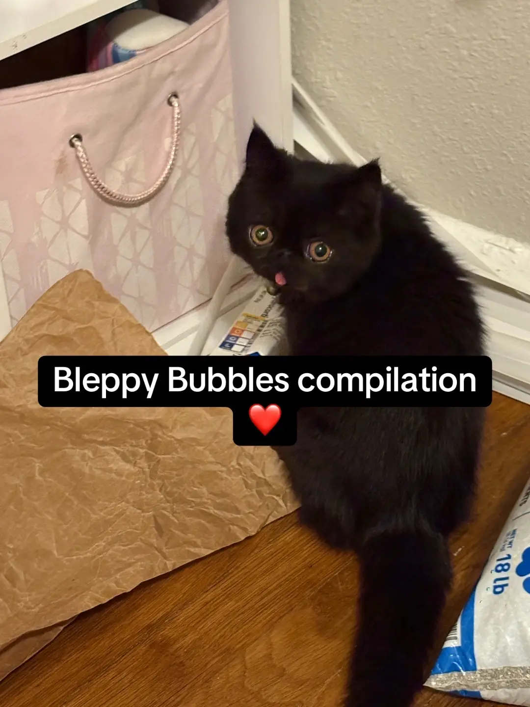 @Bubbles