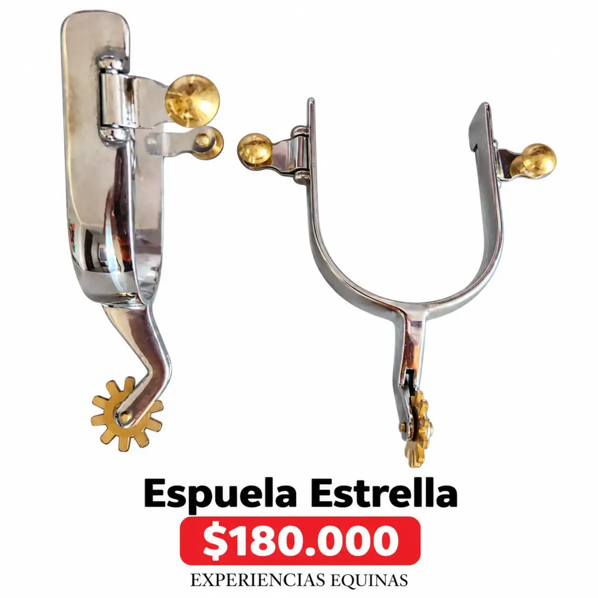 @Experiencias Equinas