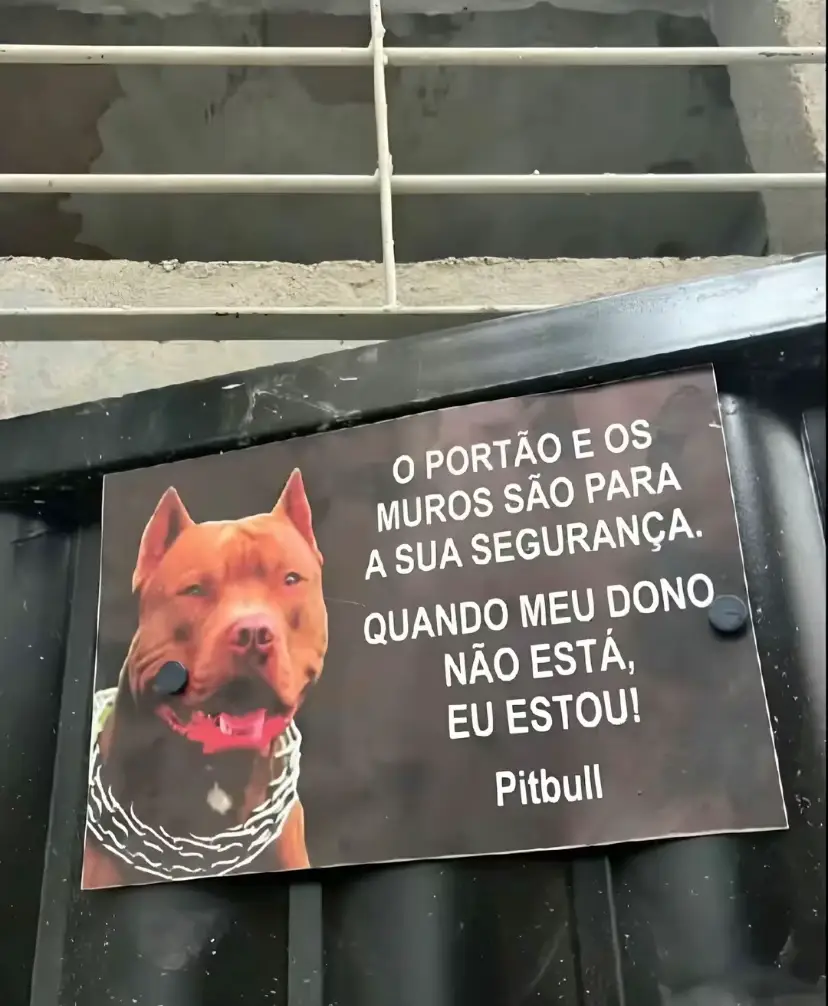 @Allexia Almeida