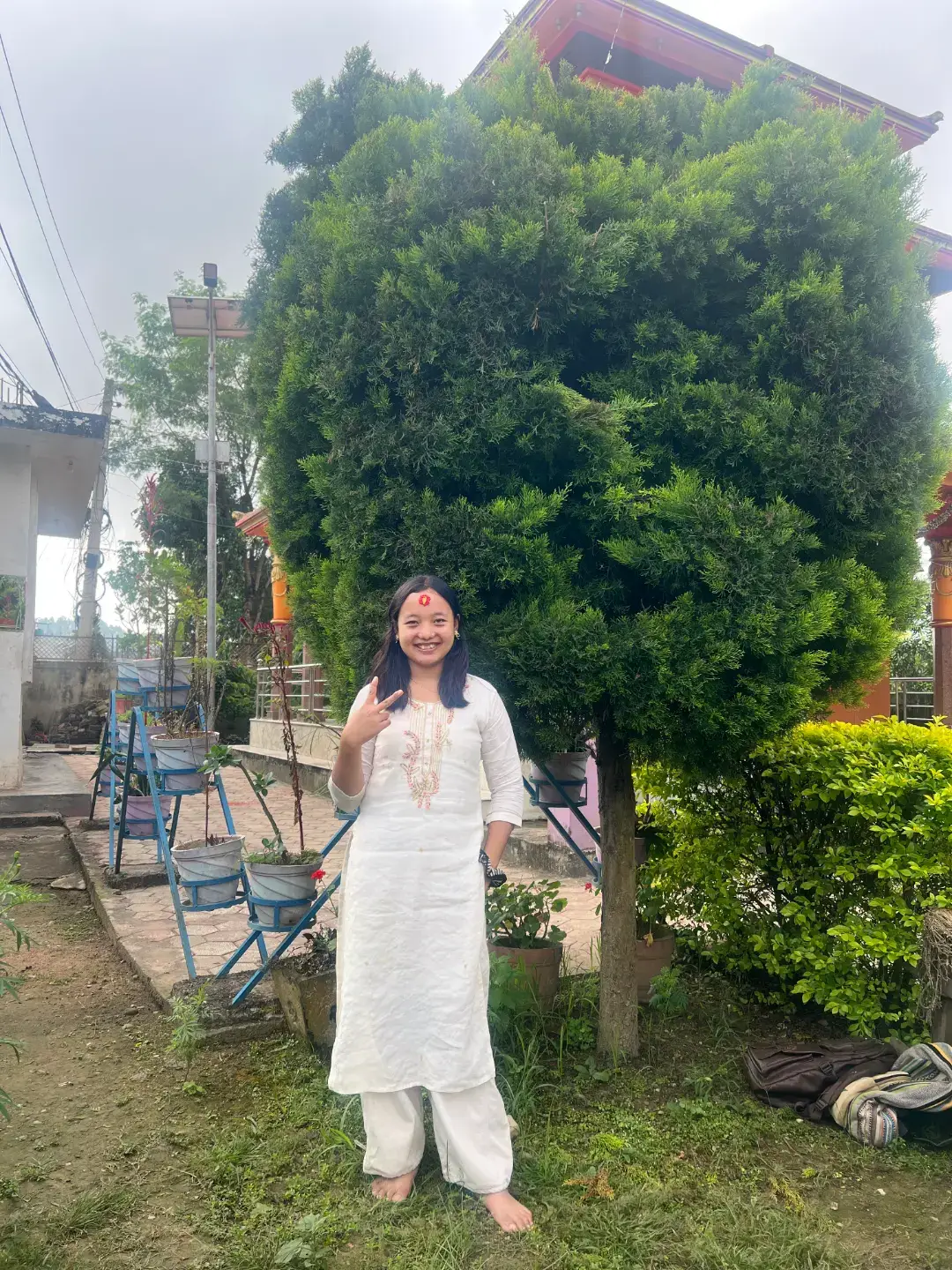 @BGM🤟