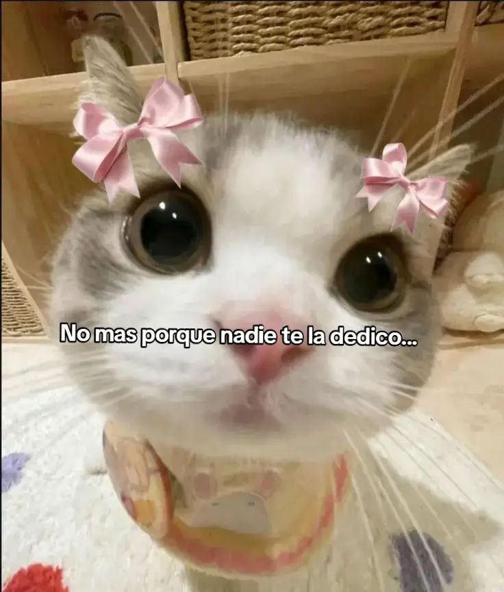 @@karen Nazareth luna👁️👄👁️