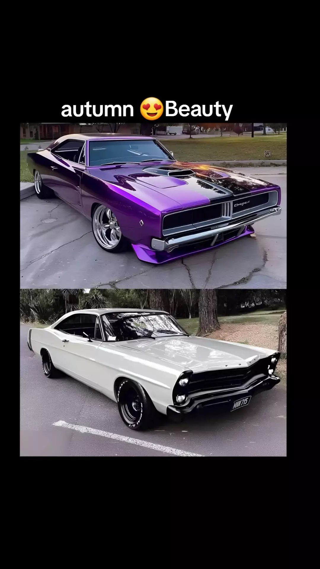 @Rare Classic cars🔹️