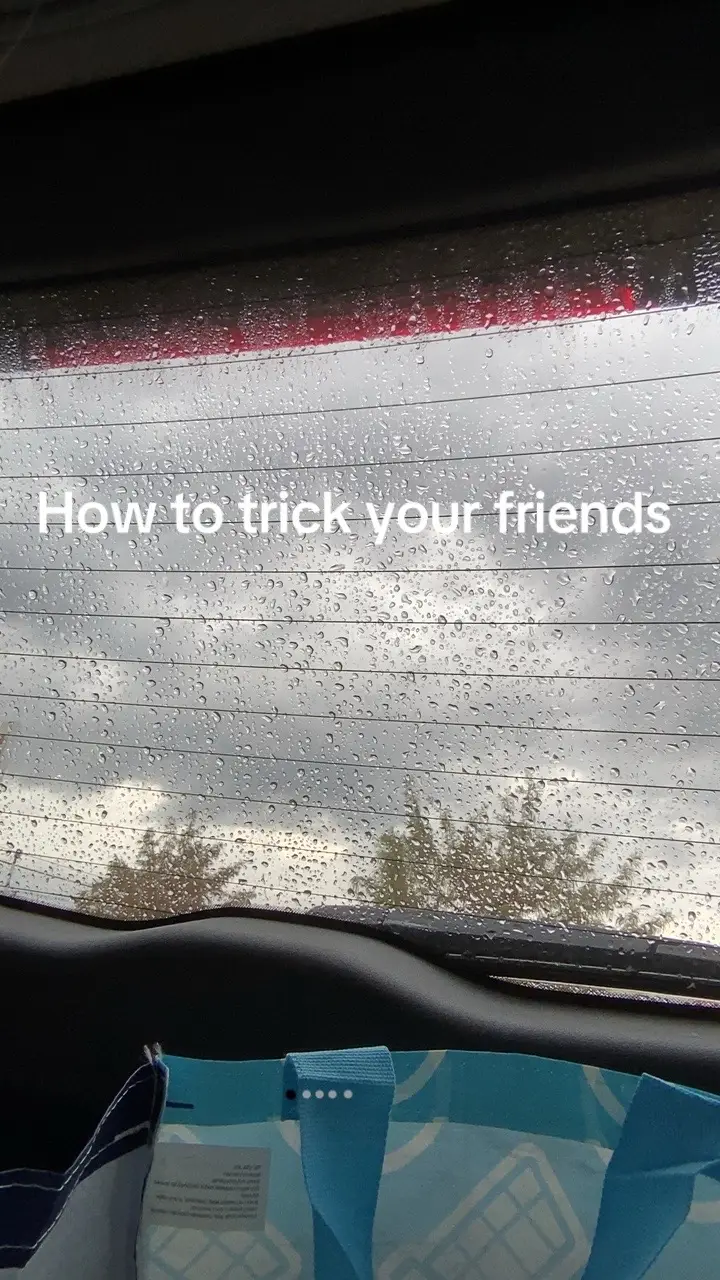 @🪳