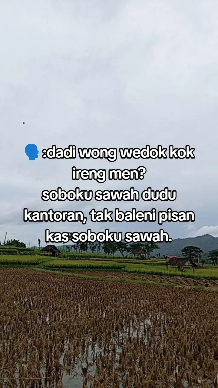 @Diyann