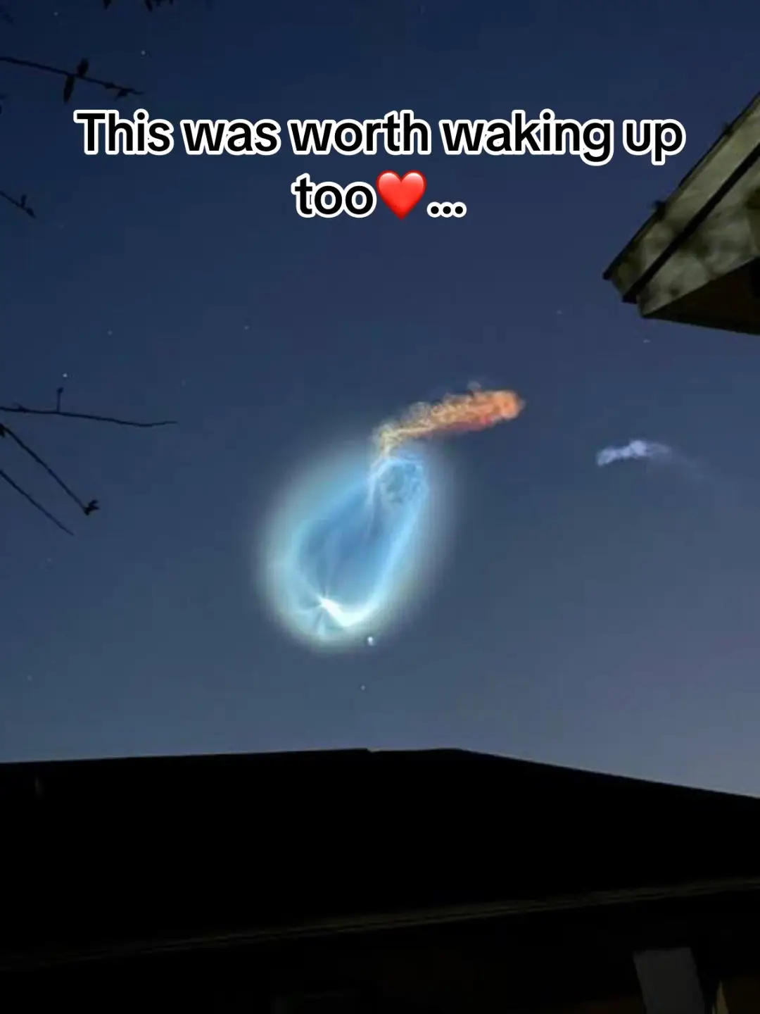 @️ ✯TJ✯