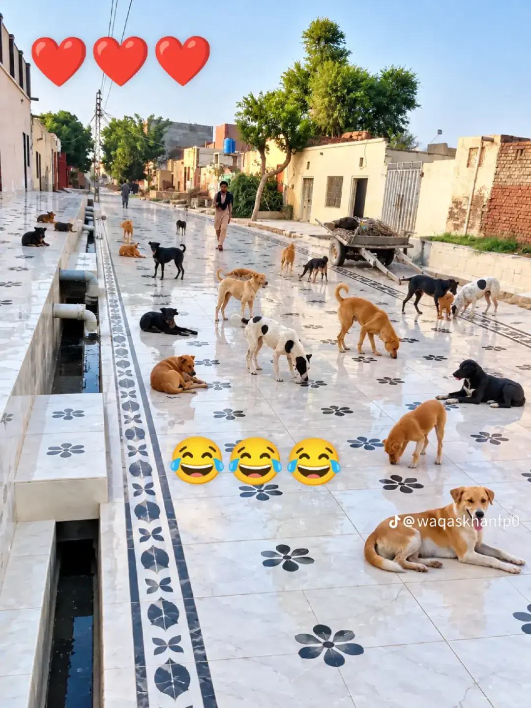 @talha rajpoot😈🥰