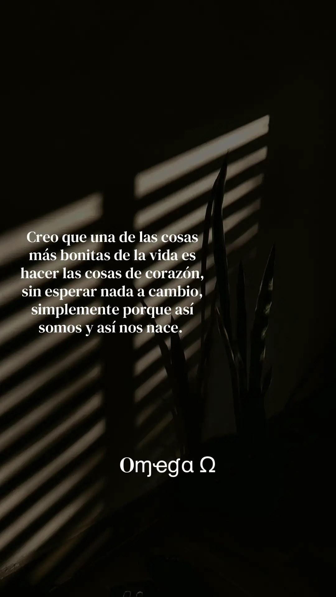 @Oɱҽɠα Ω