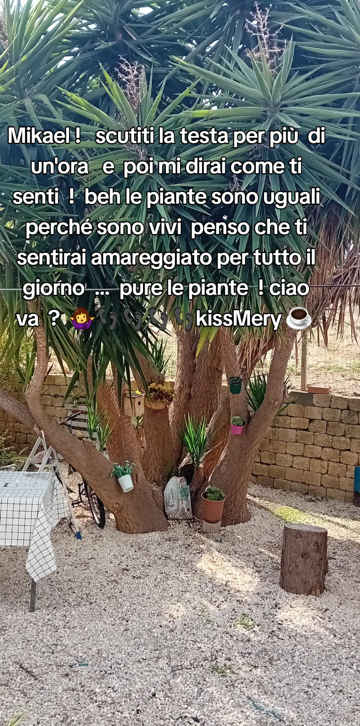 @Vacante Maria Concetta ๐๐ผ