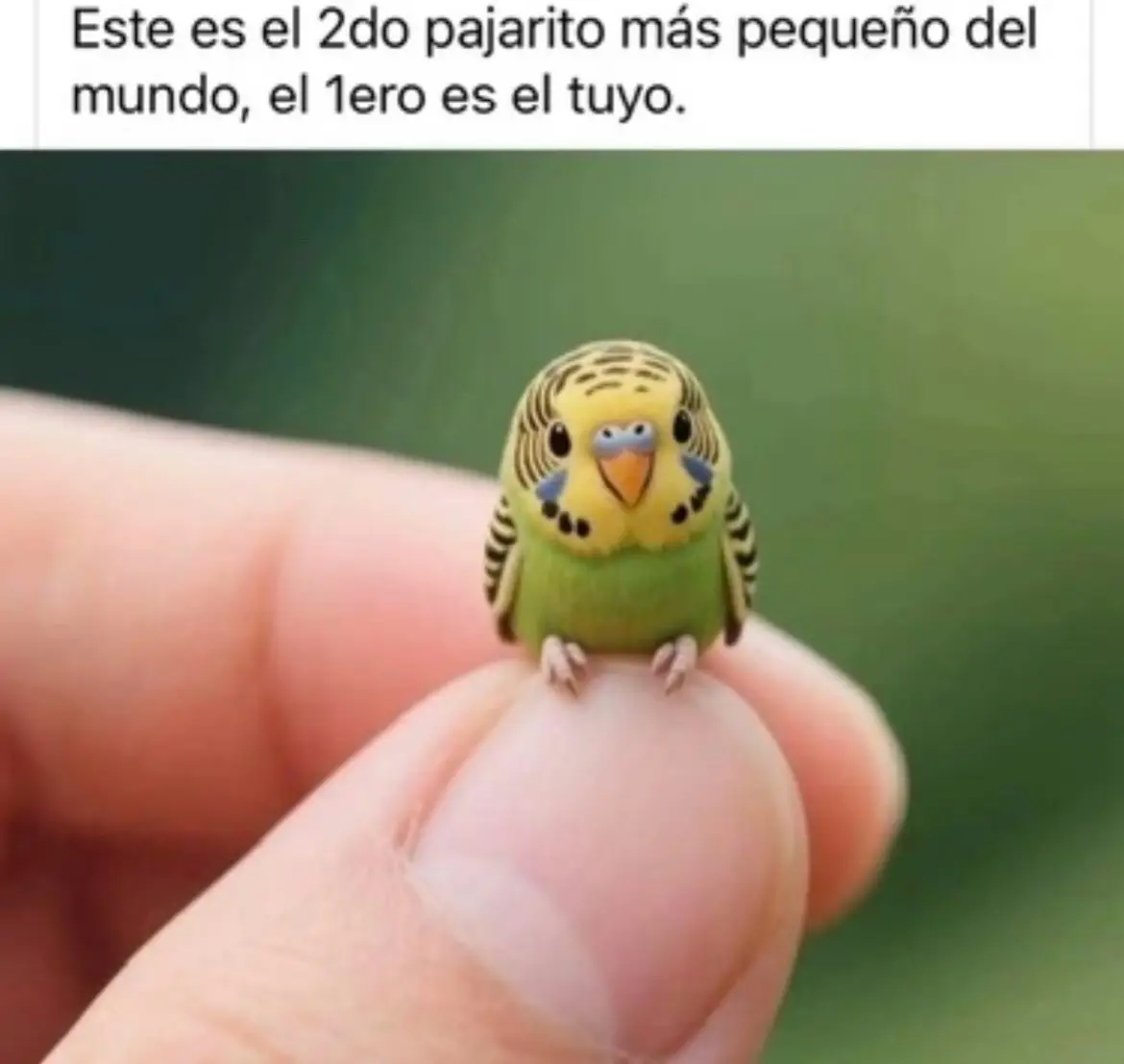 @Aida Aguayza