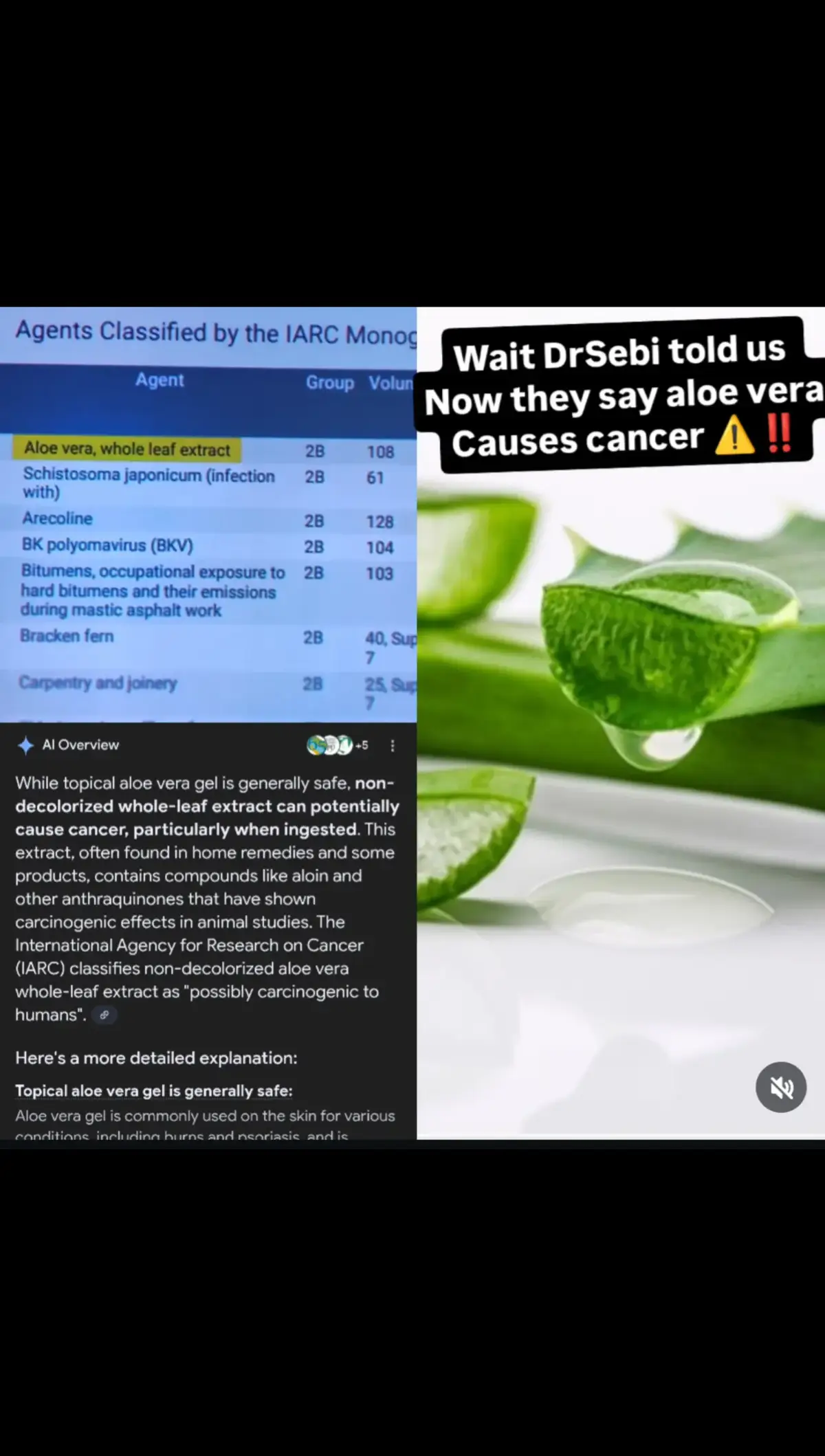 @DrSebi