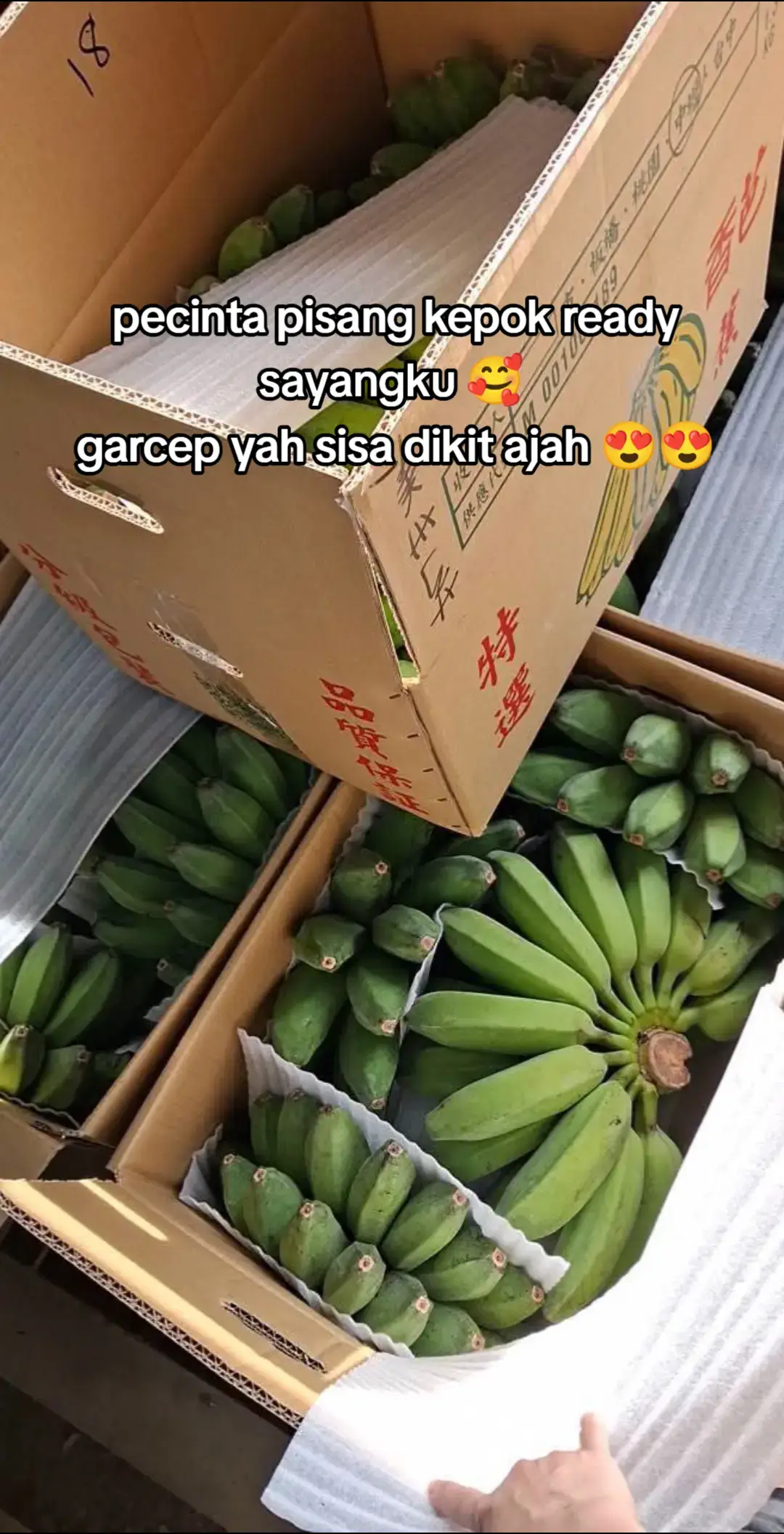 @Dessy prihartiny 🇹🇼 olshop