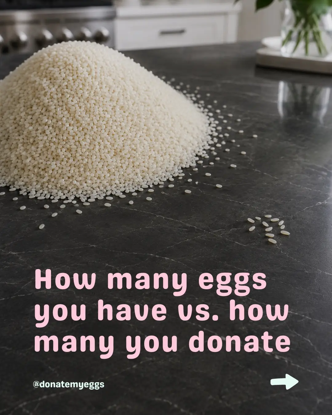 @DonateMyEggs