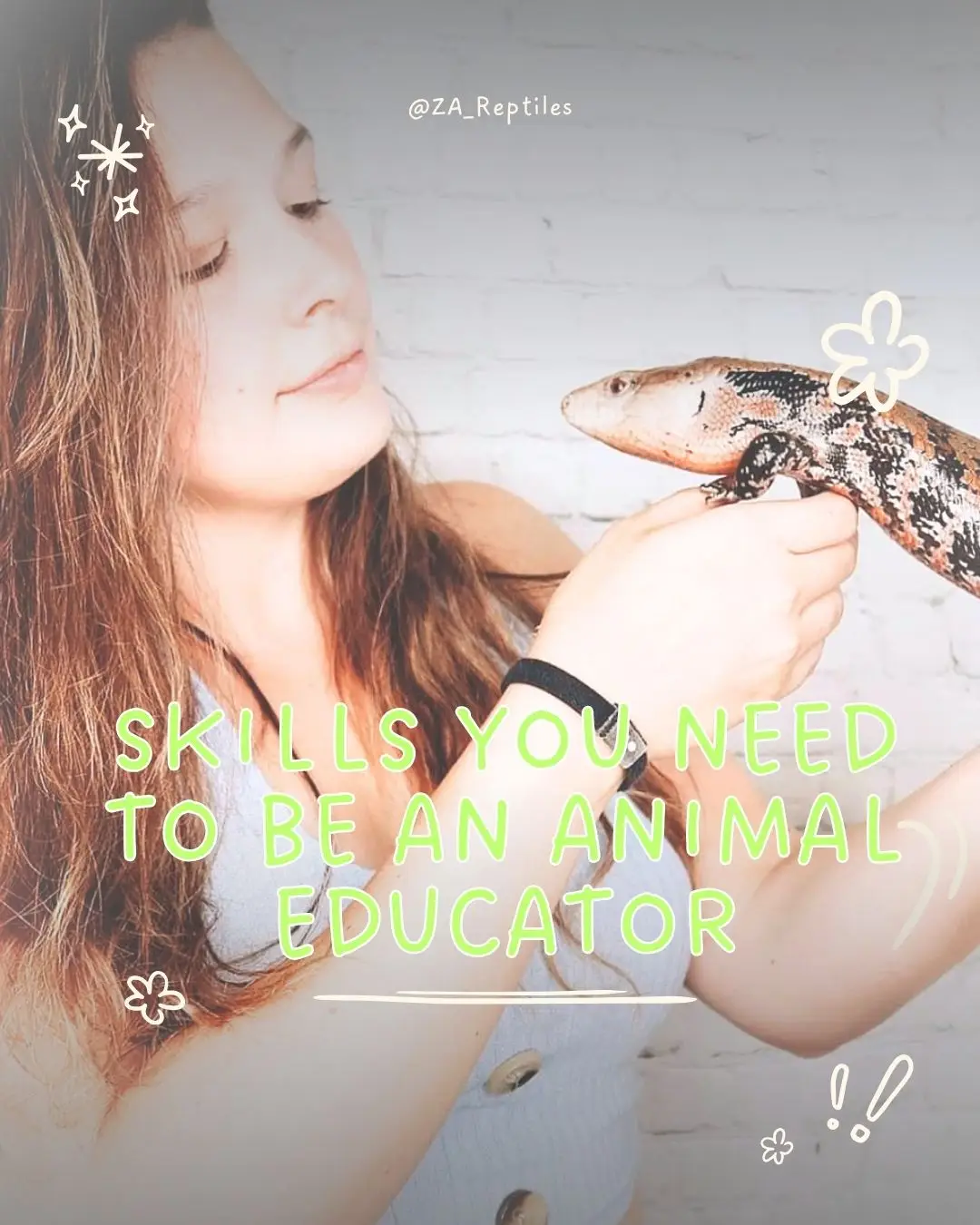 @ZA Reptiles