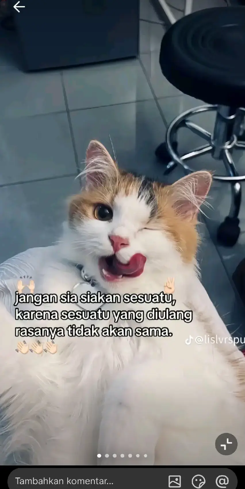 @Andrean saputra ⚓