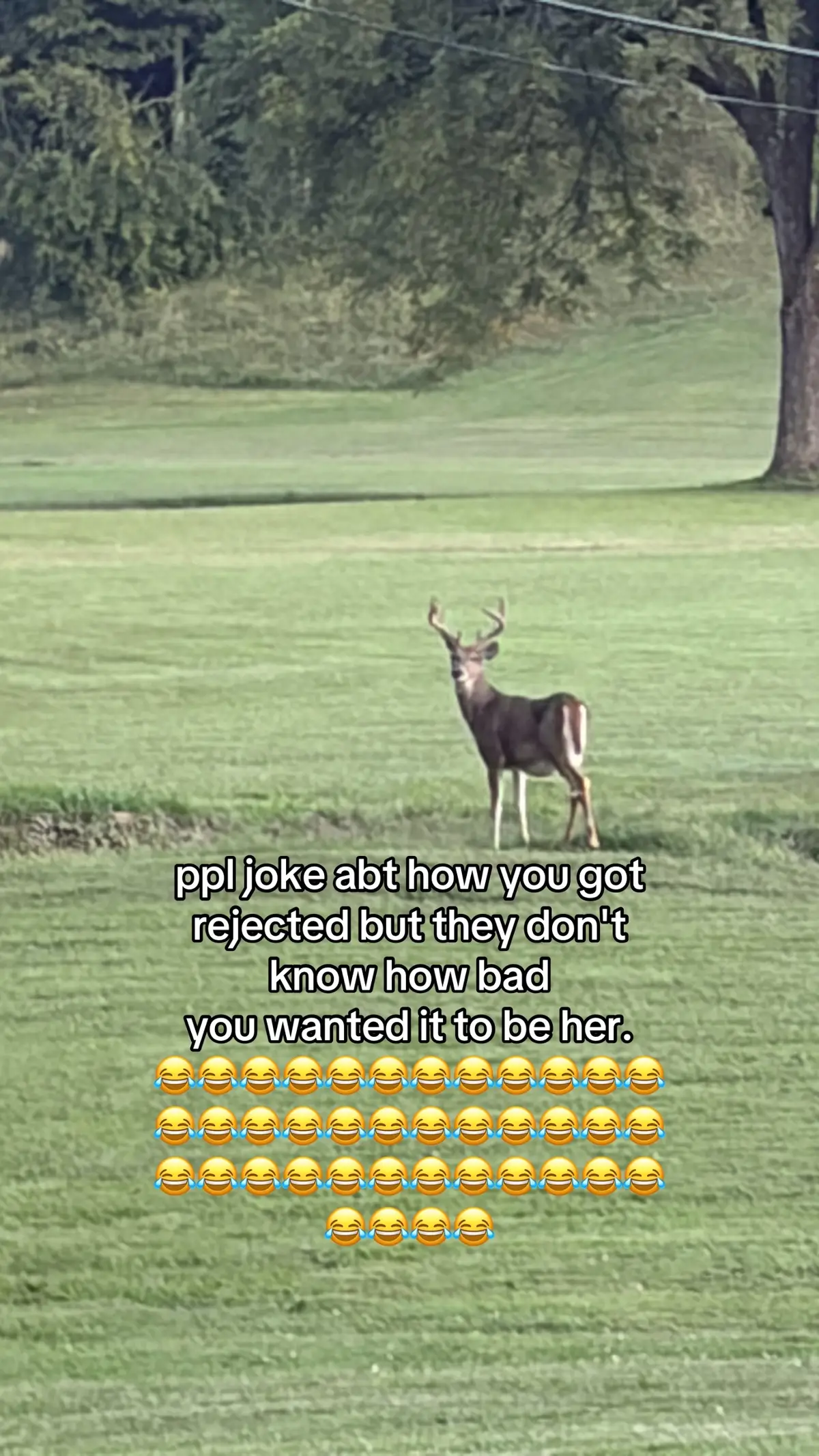 @realestondanet