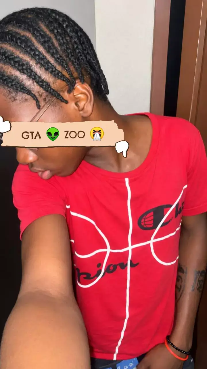 @GTA95 ZOO