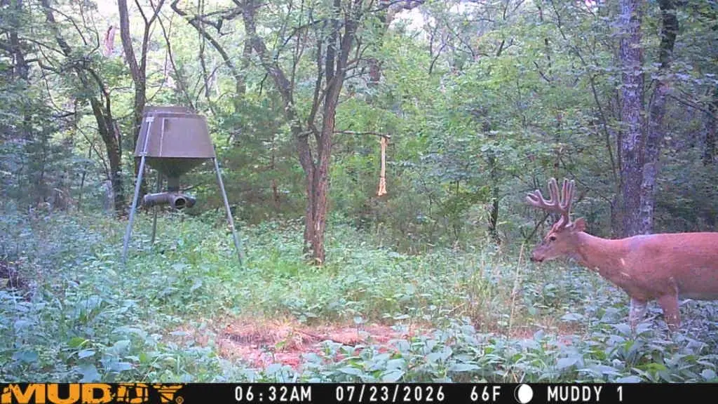 @Tactical Approach Outdoors LLC