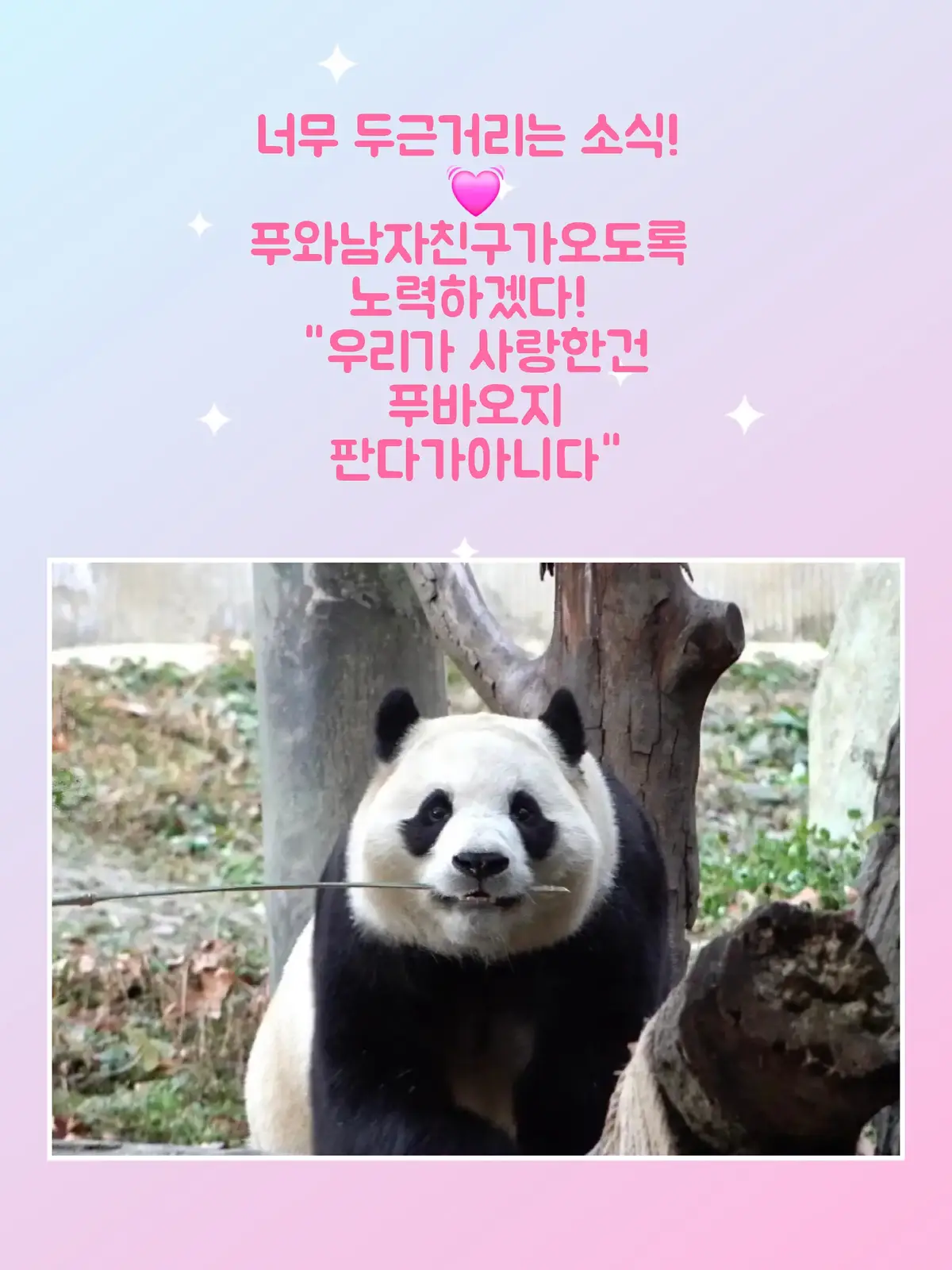 @반짝이는비니♡