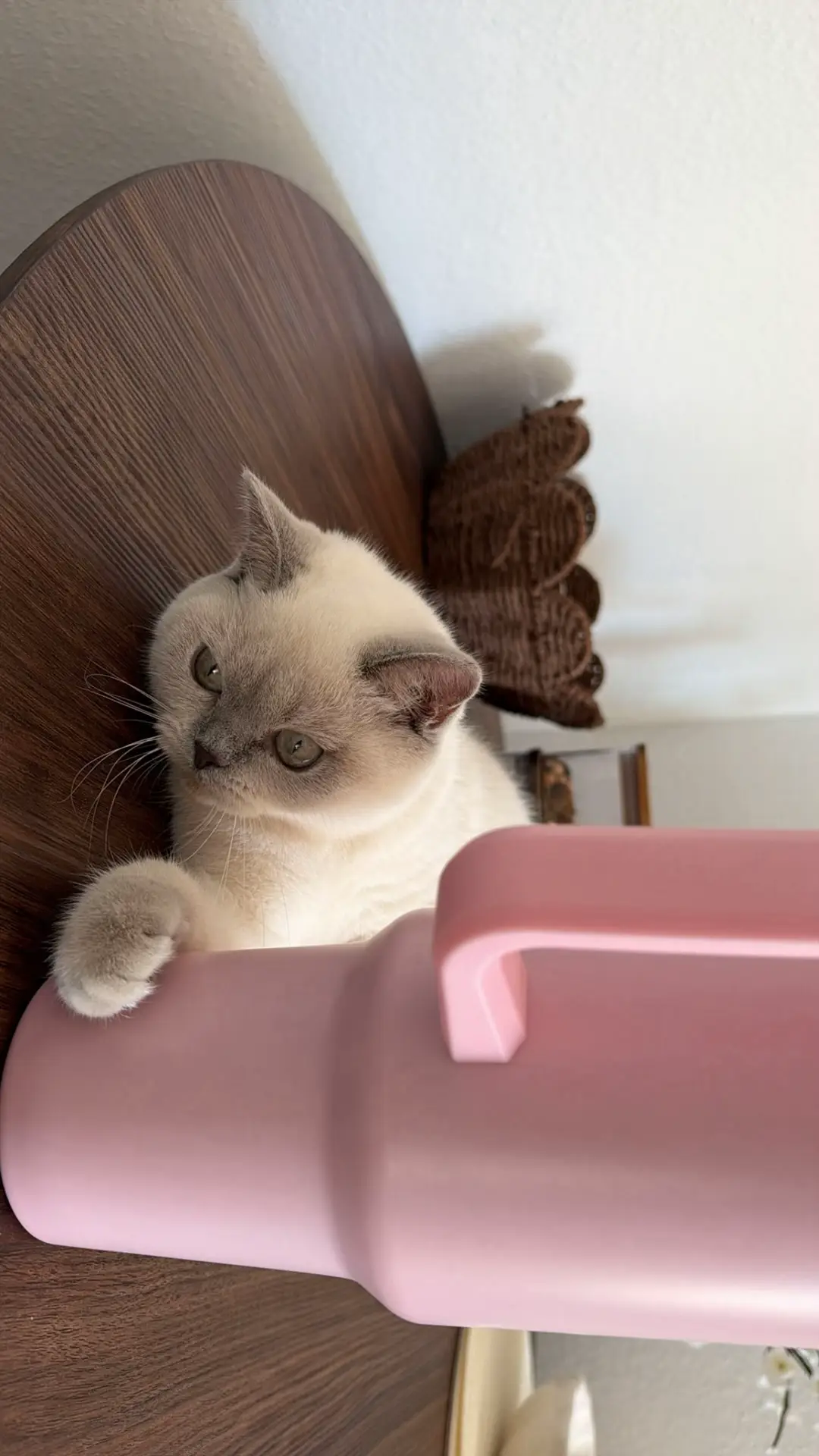@𝑒𝓁𝓃𝒶𝓏♡