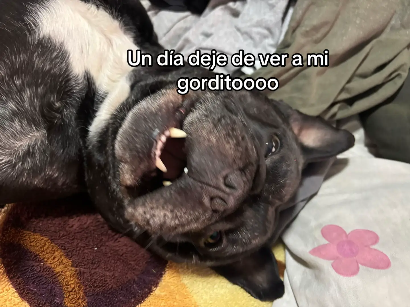 @Samira Serna
