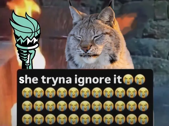 @nyliberty