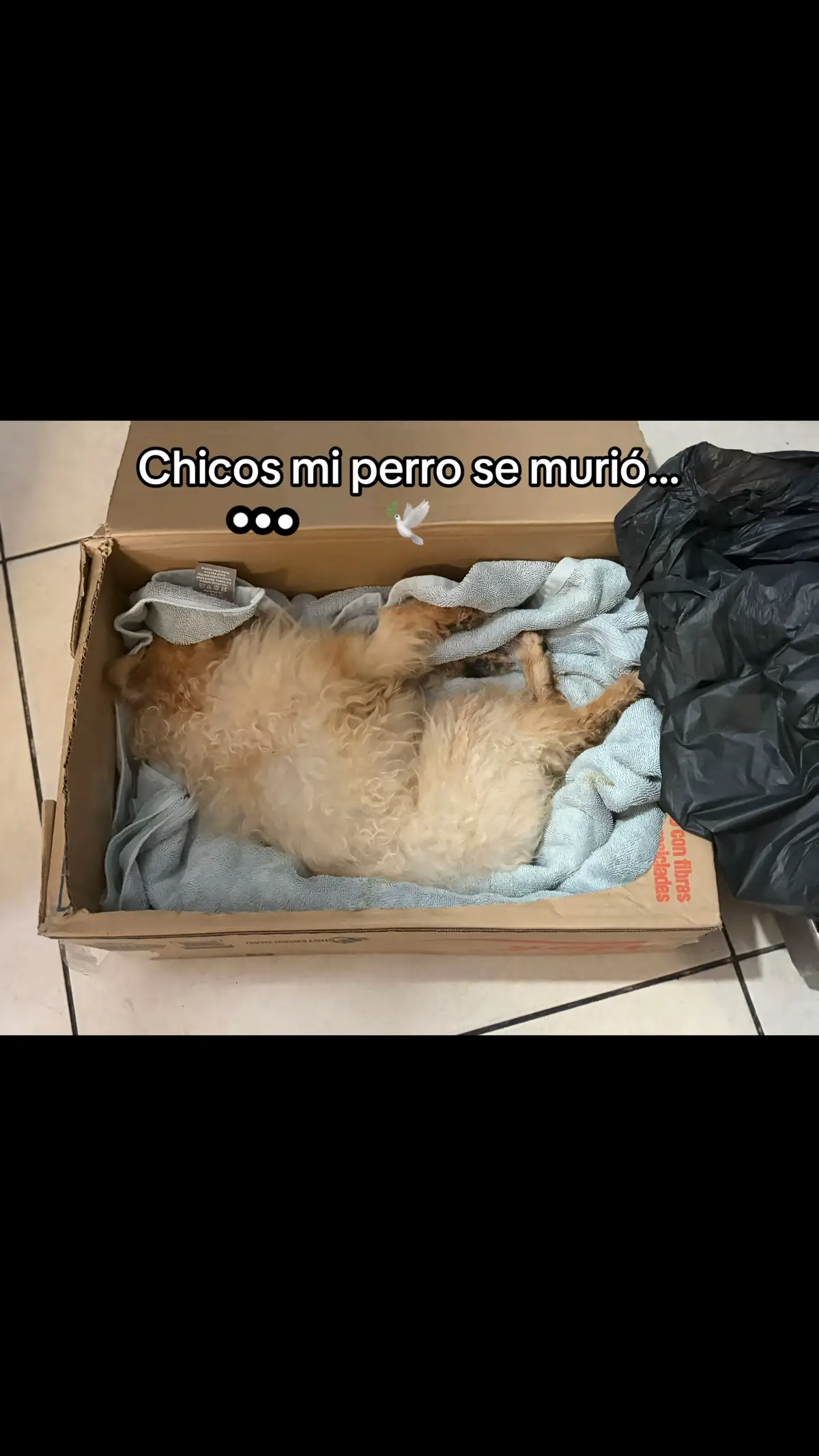 @🏖️✪꧁★🦥⭐️🌈Diego★⭐️🌈🦥꧂✪🏖️