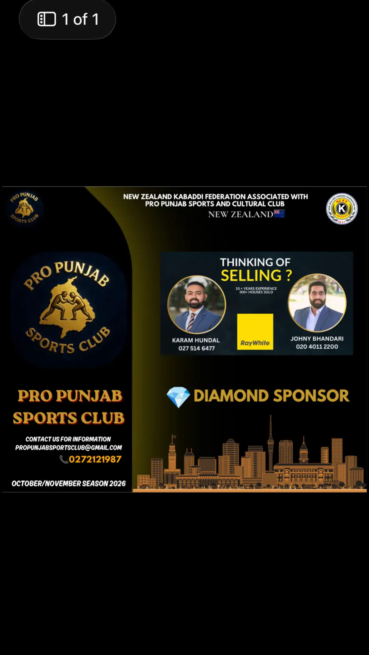 @Pro Punjab sports club