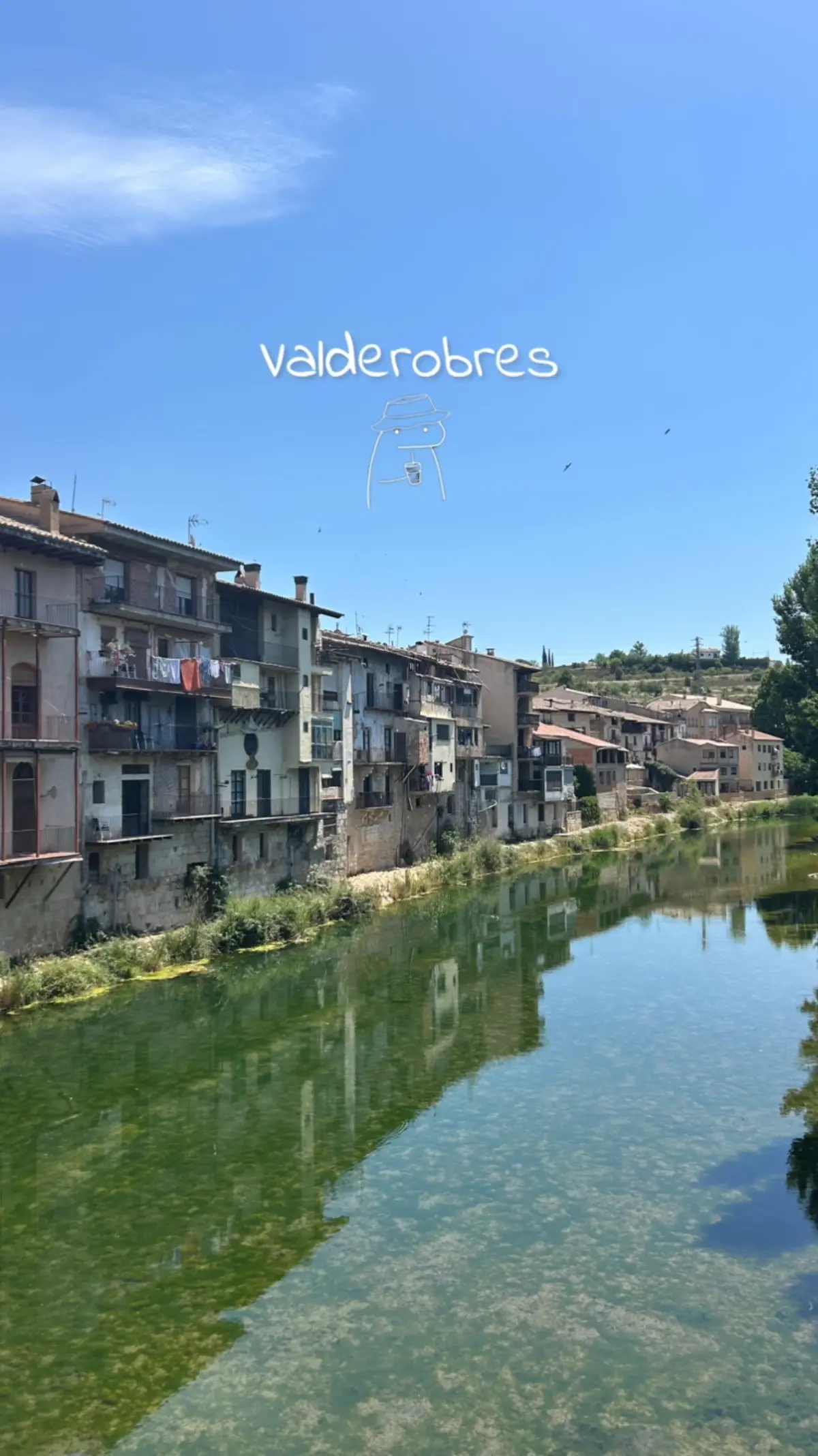@Lourdes 🪸