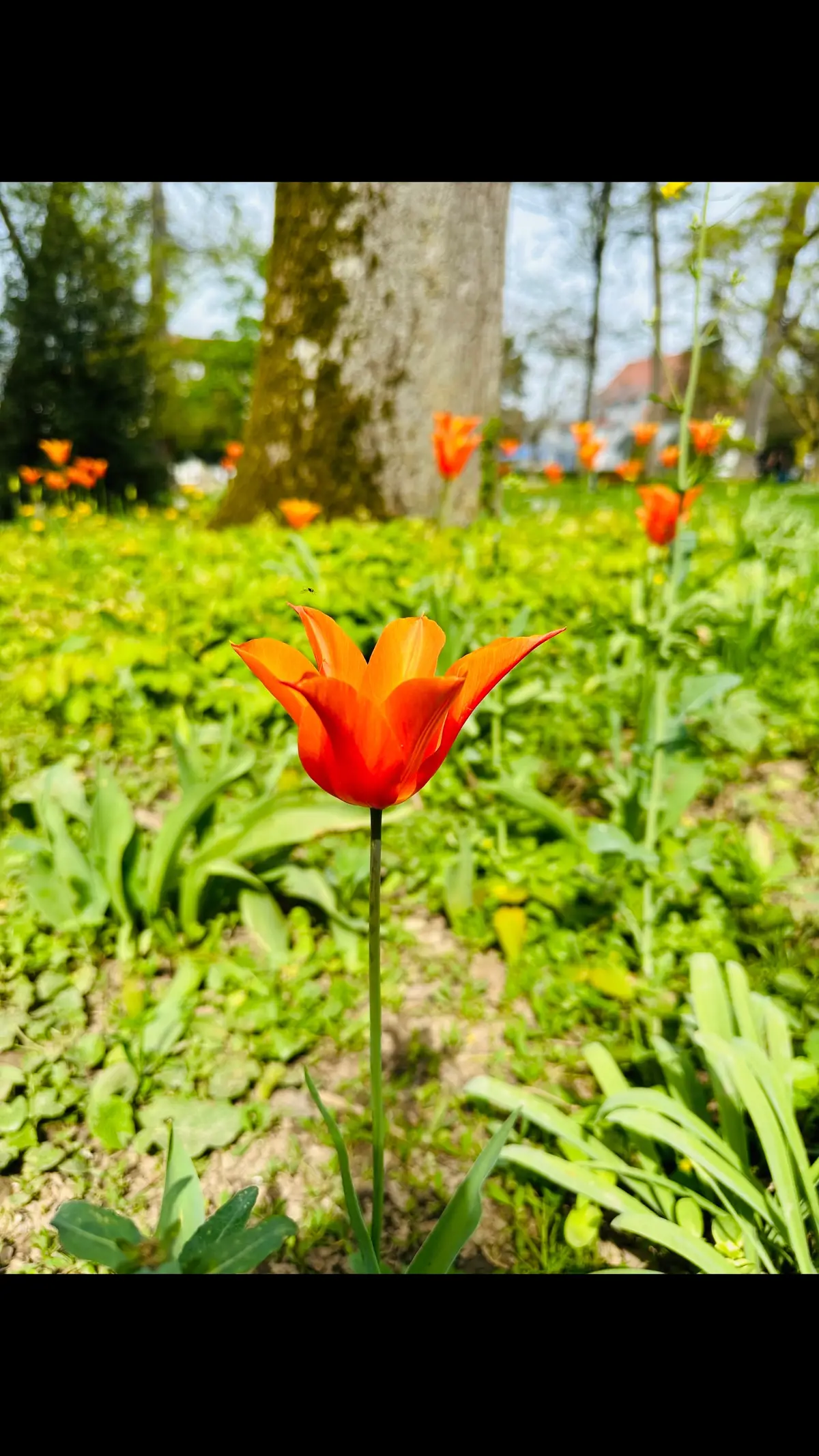 @🧭💎ROTASIZ💎🧭