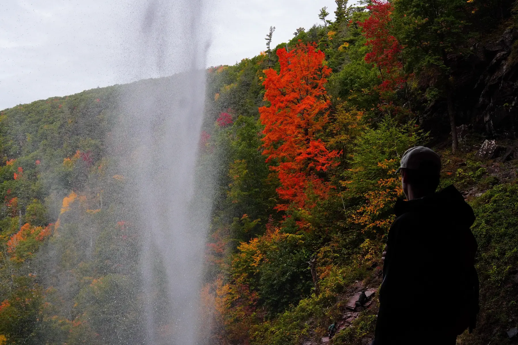 @Logan