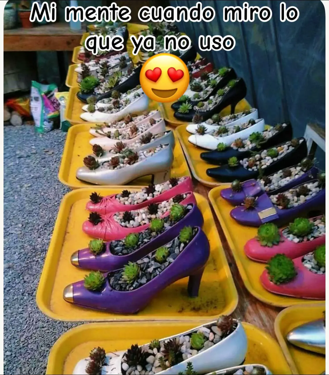 @Came de Patiño