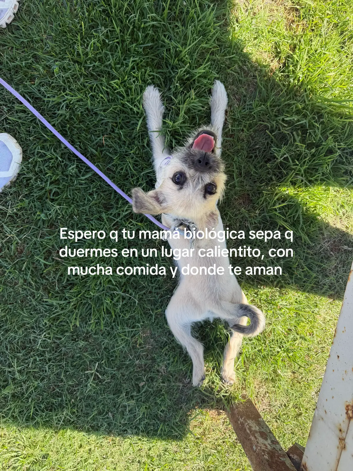 @Liliana