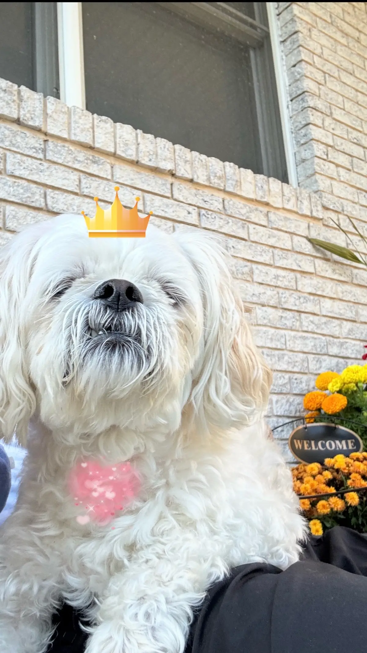 @Bomby y princesa🩵🩷
