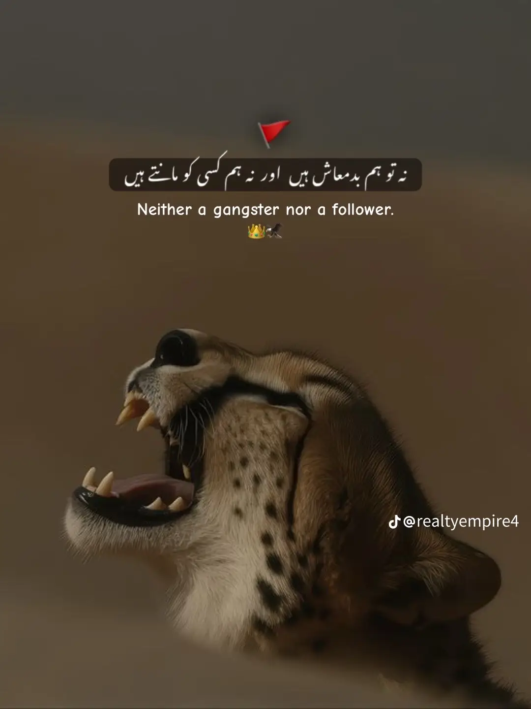 @🦁▄︻̷̿┻̿═━一 Umer Khokhar 💪
