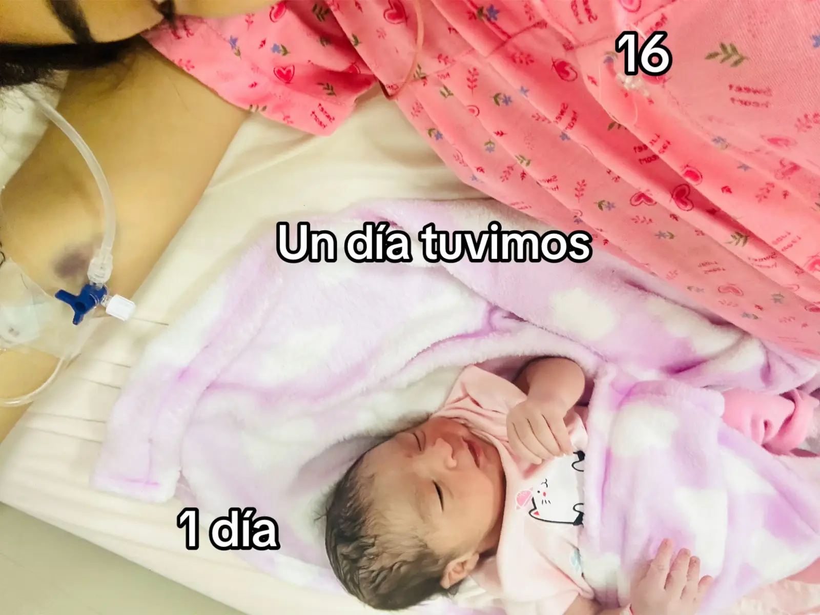 @ᥫ᭡