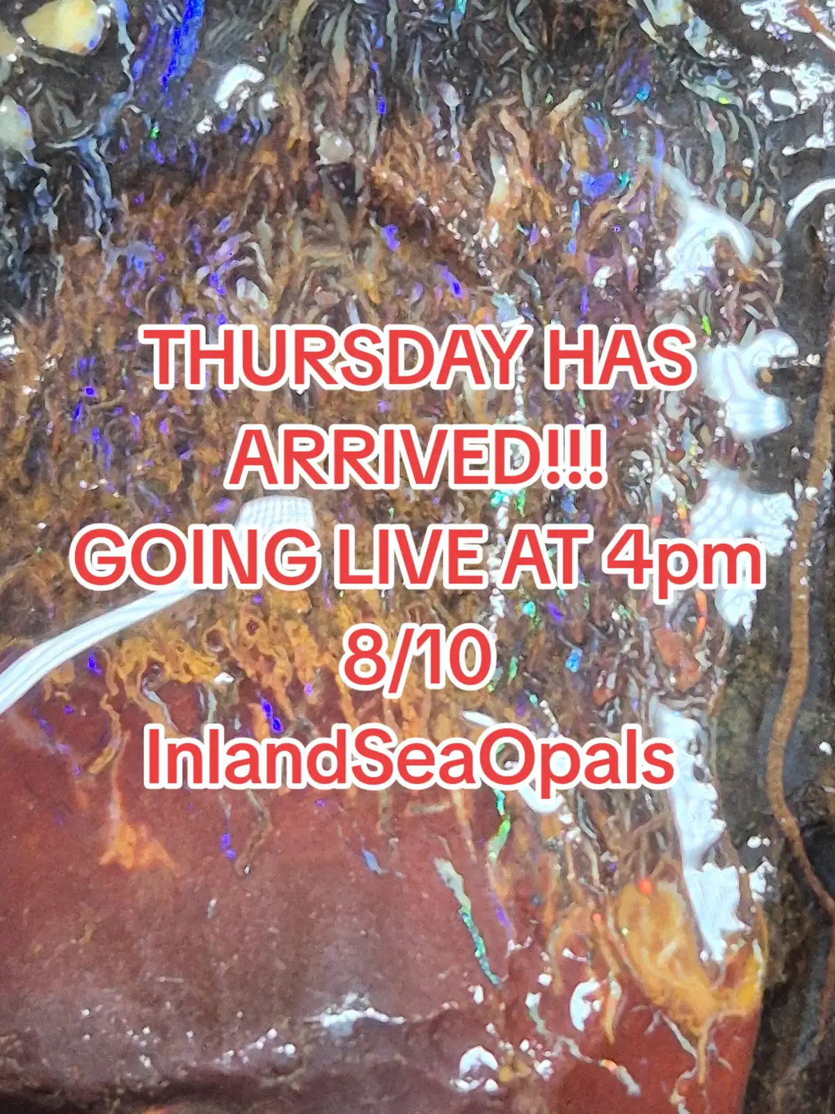 @InlandSeaOpals