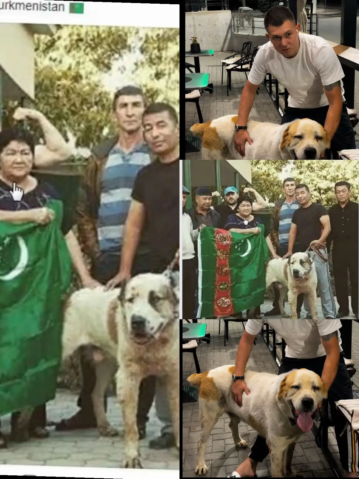 @BucaTurkmenMDAlabai