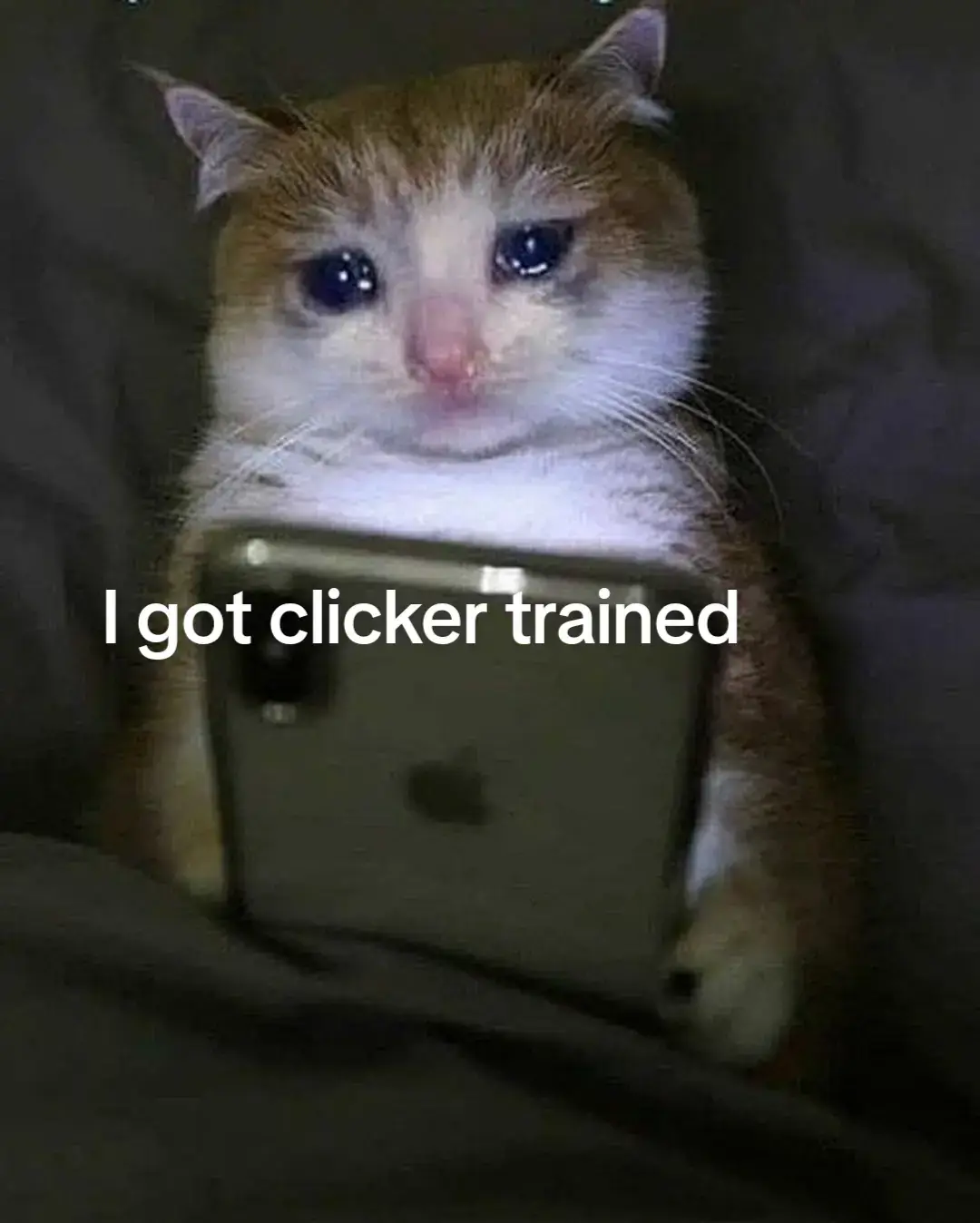 @𝓡𝓮𝓭 𝓿𝓮𝓵𝓿𝓮𝓽｡‧˚ʚ🐇ɞ˚‧｡