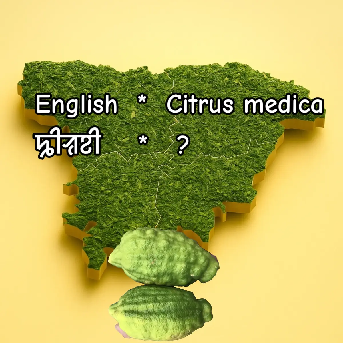 @Sylheti 🇧🇩
