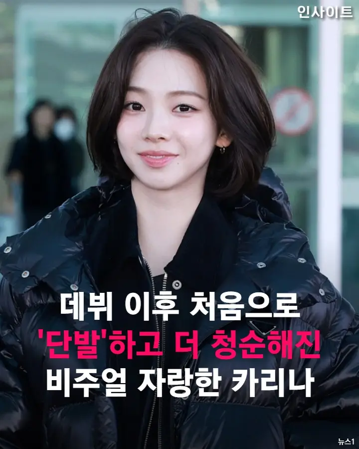 @인사이트