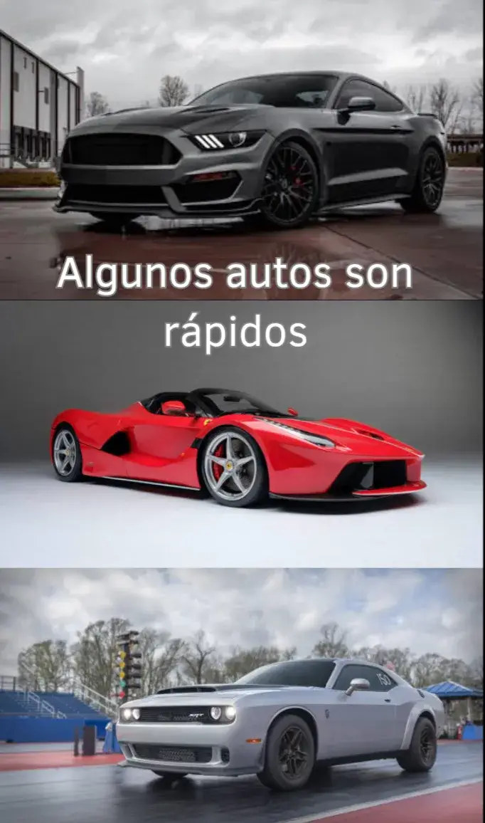 @cangreformer
