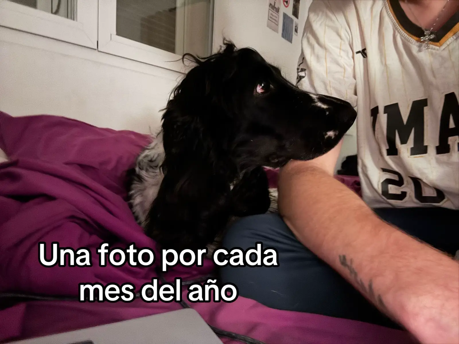 @Danni