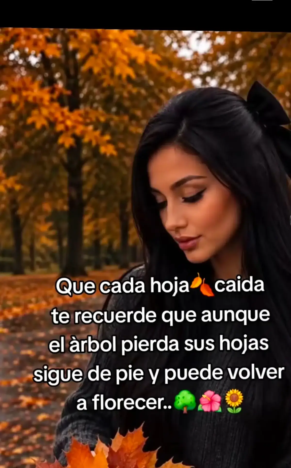 @rosi