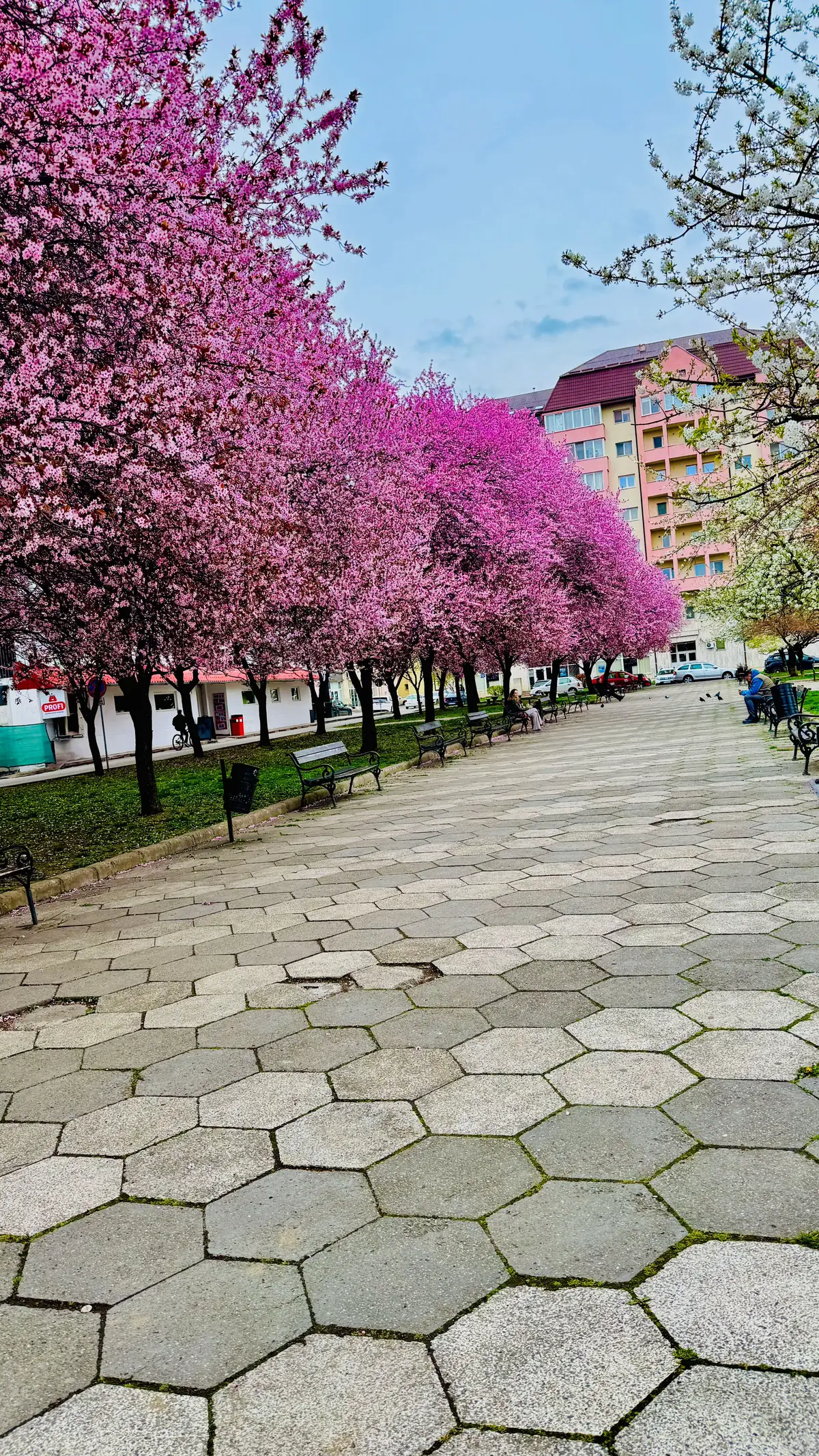 @امیرحمزہ