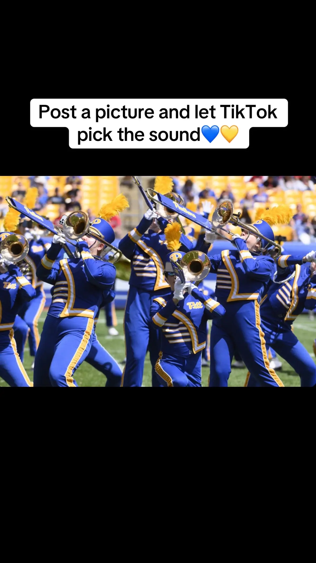@Pitt Band