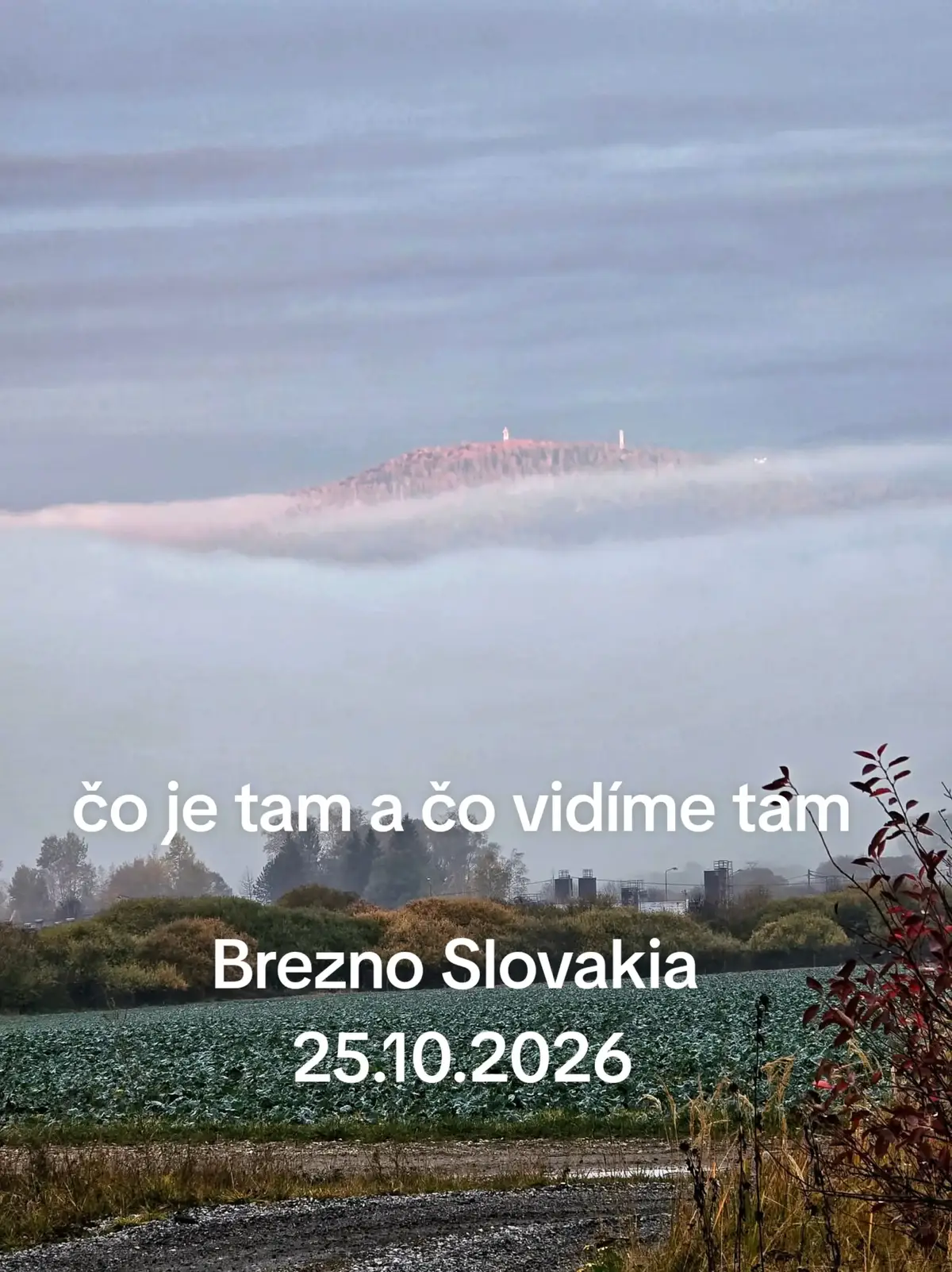 @Frank