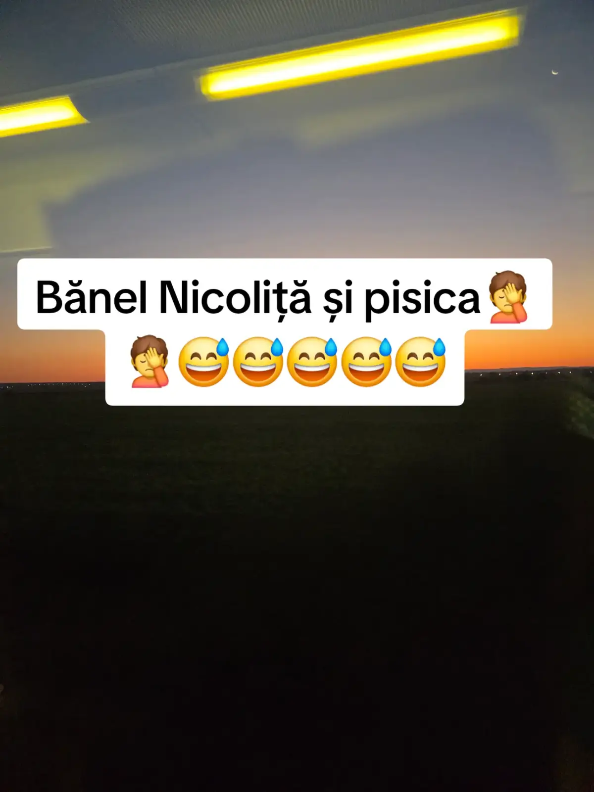 @Irimia Vasilică