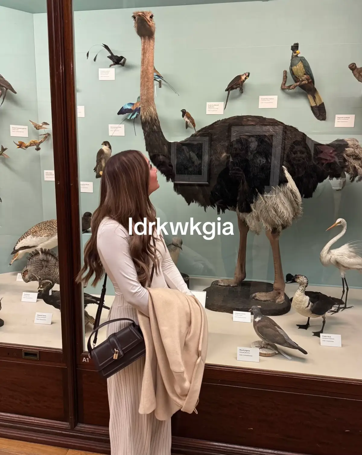 @Sofia F 🐆